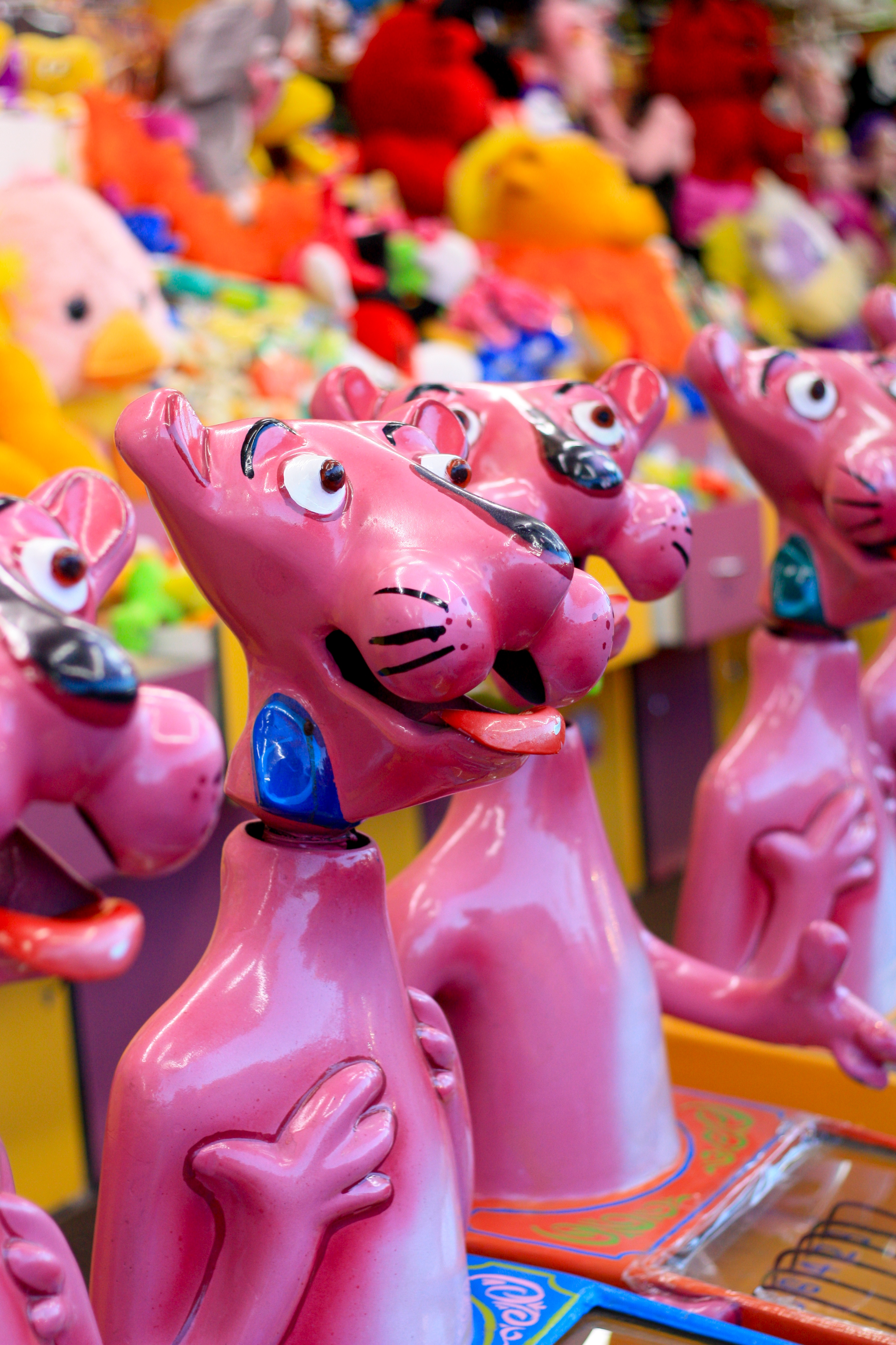 Annual Dubbo Show Dubbo Regional Council